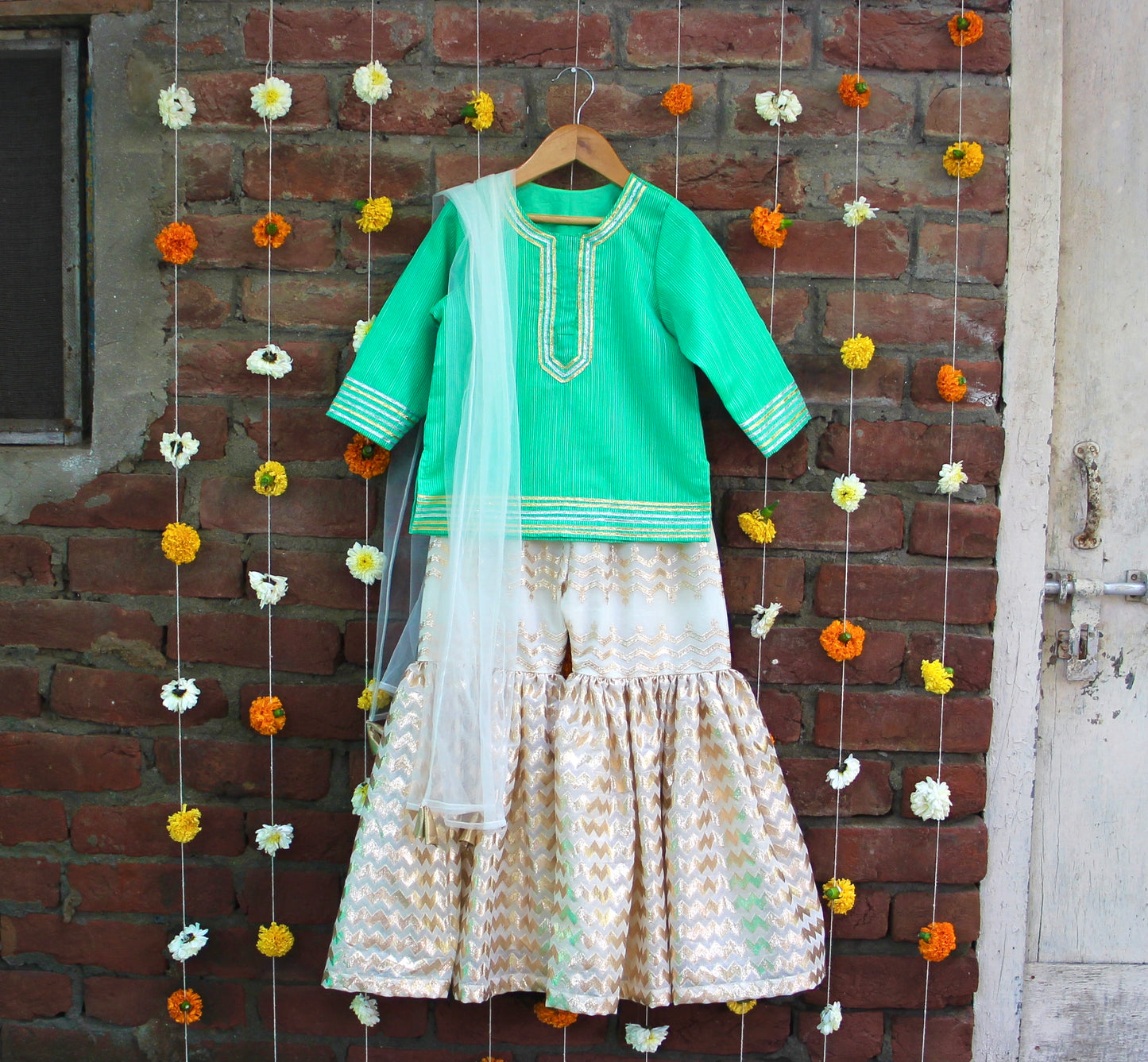 Aamod- Gharara Set