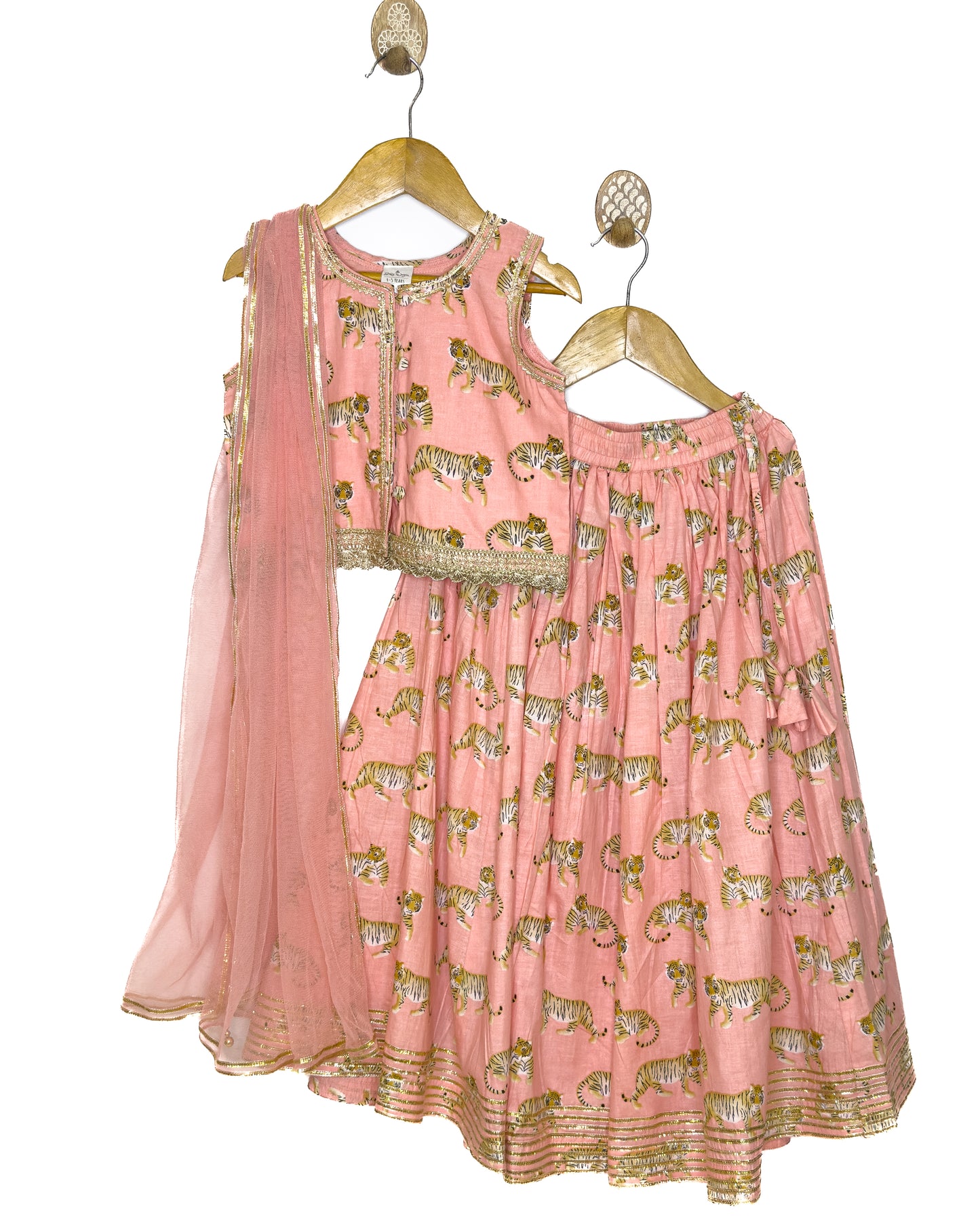 Peach Sher Lehenga Set