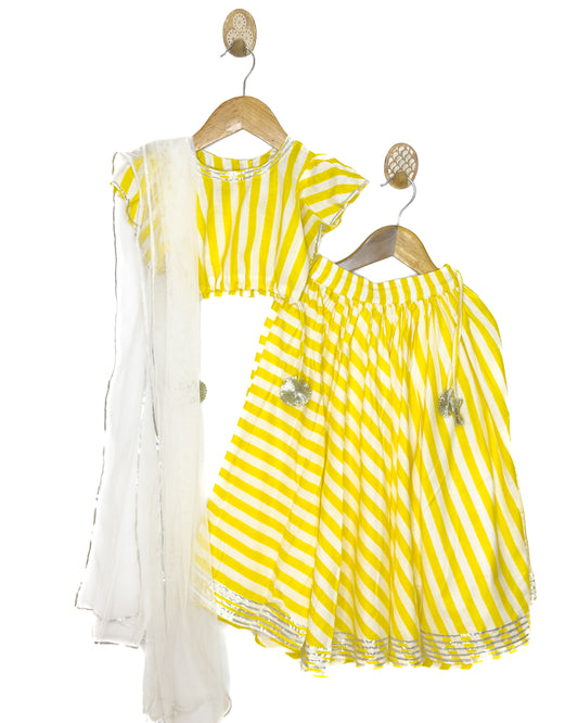 Yellow and White Stripe Lehenga